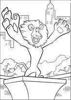 coloriage madagascar alex fait la star